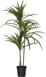 Bali koristepuu 90cm 12306