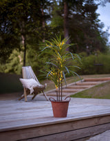 Bali koristepuu 90cm 12306