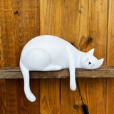 Georges Kissalamppu Rose in April