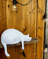 Georges Kissalamppu Rose in April