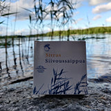 siivoussaippua 100g sitrus
