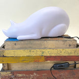 Georges Kissalamppu Rose in April