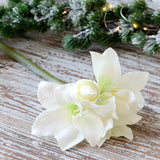 Chic amaryllis 11715