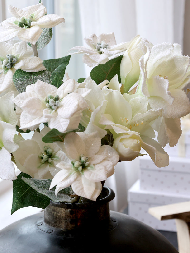 Chic amaryllis 11715