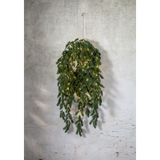 Erna-kranssi roikkuva 70cm 11623
