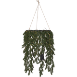 Erna-kranssi roikkuva 70cm 11623