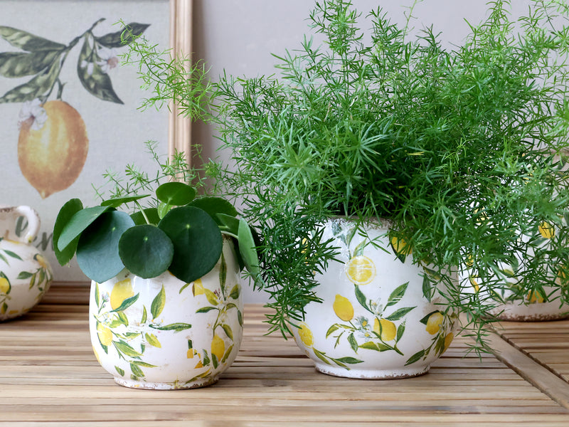 Chic Limone maljakko sitruuna 11156