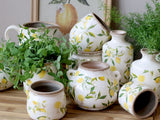Chic Limone pullo sitruuna 11155