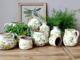 Chic Limone kannu sitruuna 11153
