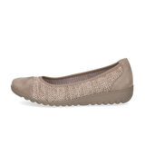 Caprice balleriina, mud comb  11889