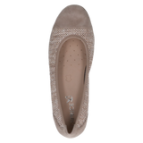 Caprice balleriina, mud comb  11889