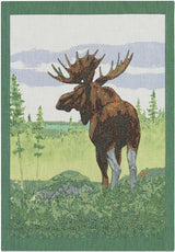 Ekelund keittiöpyyhe 35 x 50cm 12432