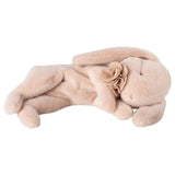 Maileg Sleeping bunny plush, Small - powder 12855