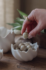 Majas vekkikulho keskikoko 11999