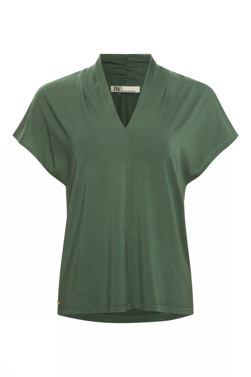 PBO Gambia top