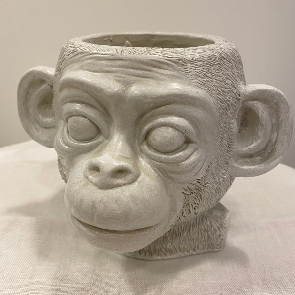 Apinaruukku